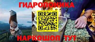 гашик Бузулук