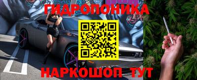 гашик Бузулук