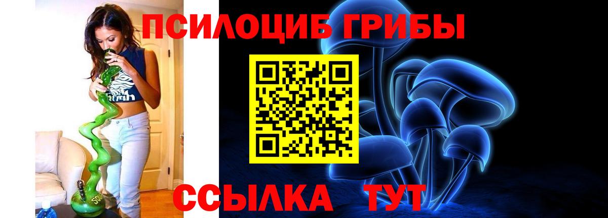 Псилоцибиновые грибы прущие грибы Сызрань
